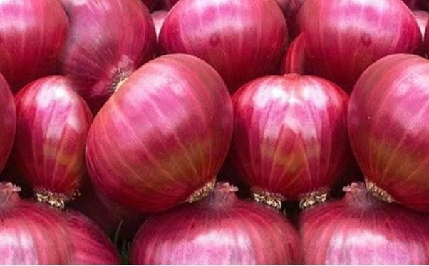 Onion
